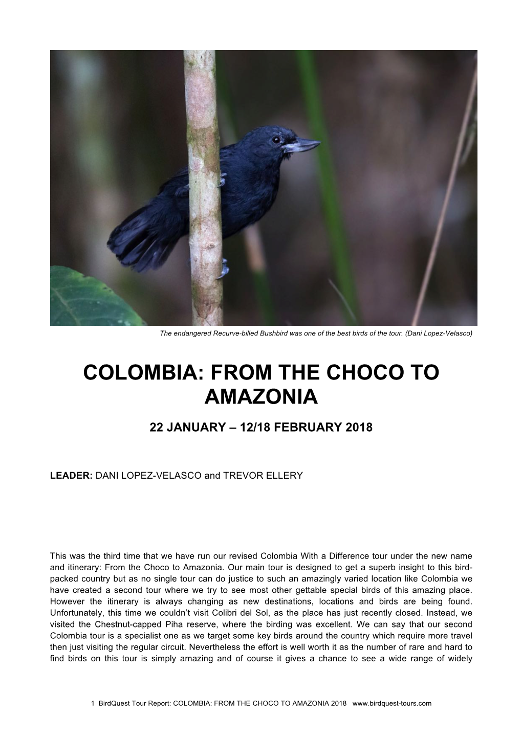 Colombia: from the Choco to Amazonia