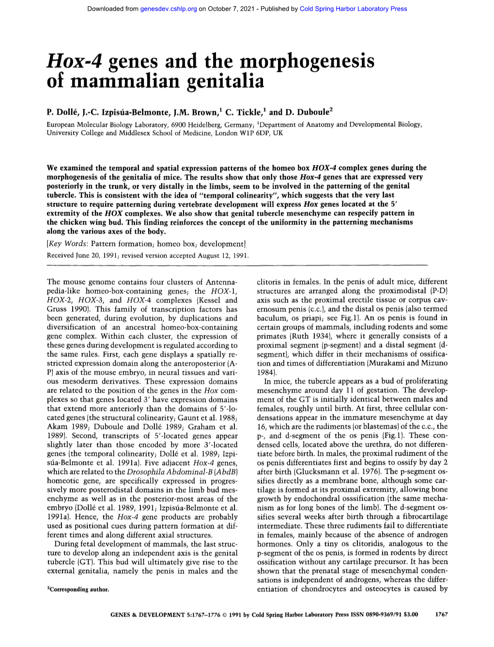Hox-4 Genes and the Morphogenesis of Mammalian Genitalia