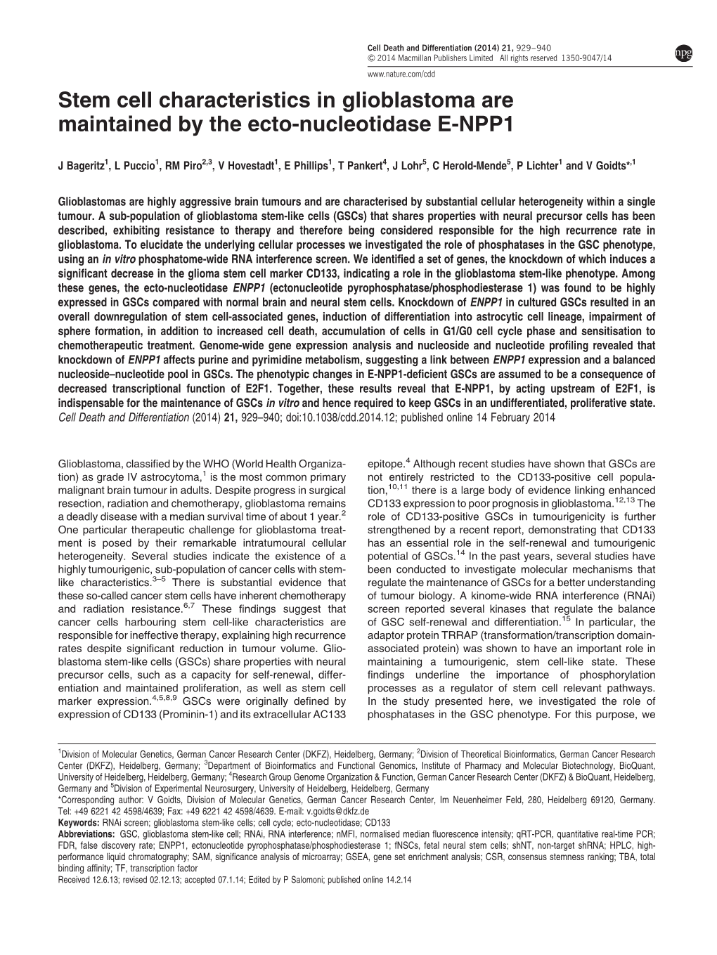 Stem Cell Characteristics in Glioblastoma Are Maintained by the Ecto-Nucleotidase E-NPP1