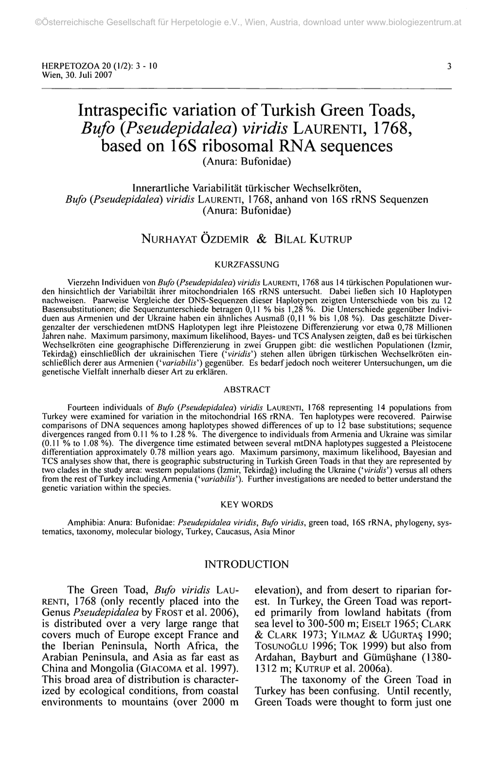 Intraspecific Variation of Turkish Green Toads, Bufo {Pseudepidaleà) Viridis LAURENTI, 1768, Based on 16S Ribosomal RNA Sequences (Anura: Bufonidae)