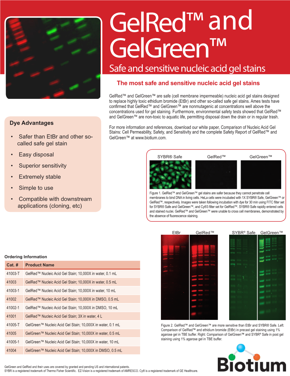 Gelred™ and Gelgreen™ Safe and Sensitive Nucleic Acid Gel Stains