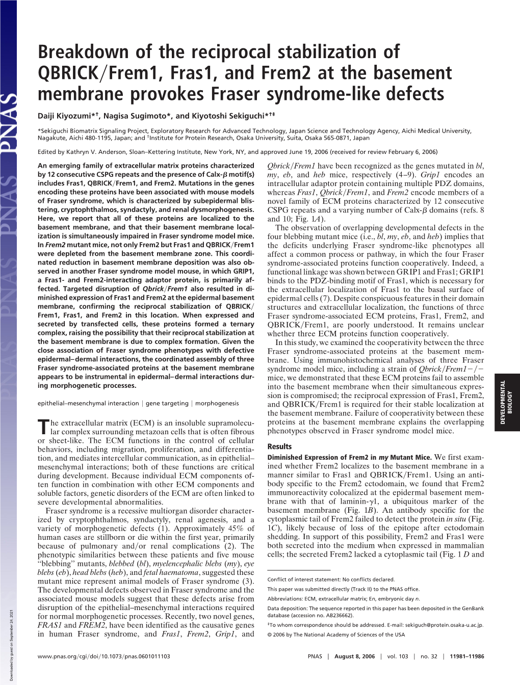 Breakdown of the Reciprocal Stabilization of QBRICK Frem1