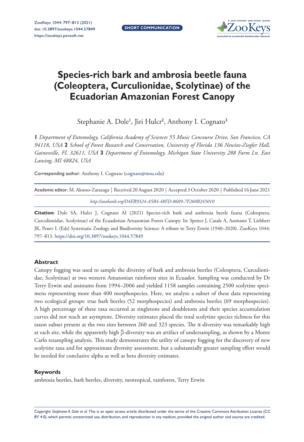 (Coleoptera, Curculionidae, Scolytinae) of the Ecuadorian Amazonian Forest Canopy