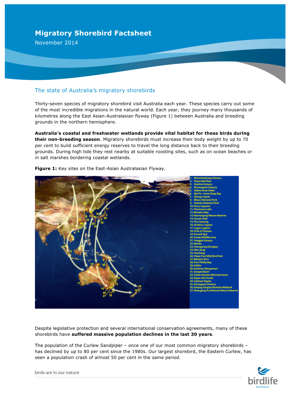 Migratory Shorebird Factsheet November 2014