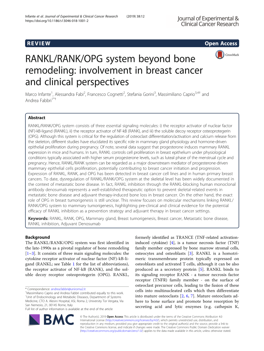 RANKL/RANK/OPG System Beyond Bone Remodeling