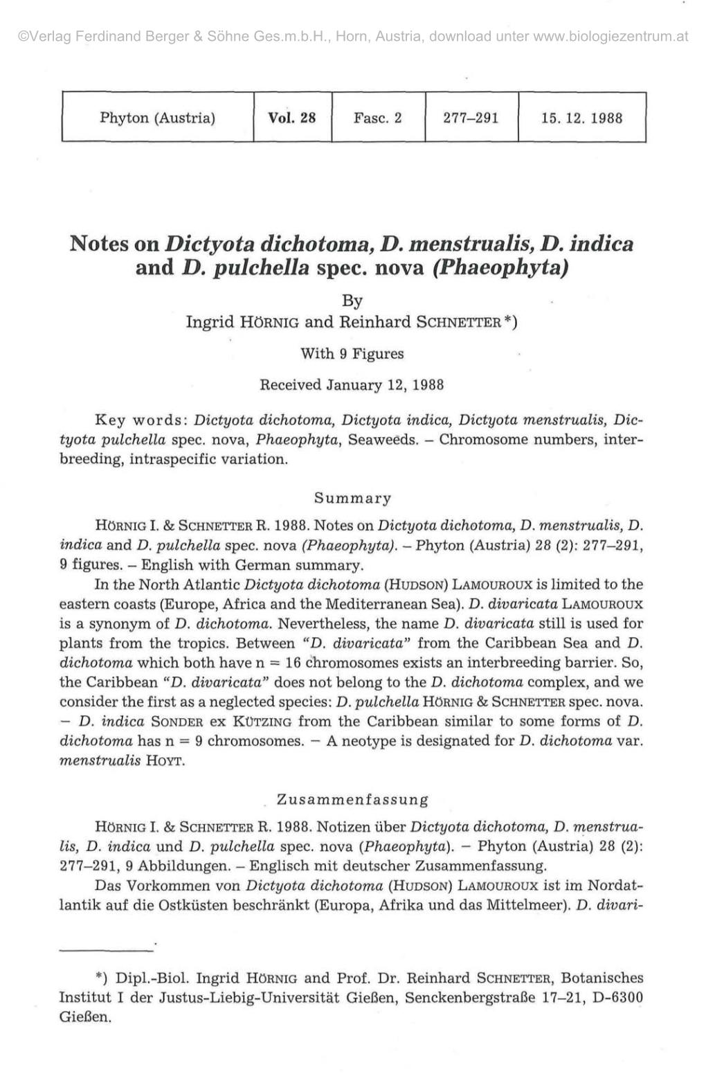 Notes on Dictyota Dichotoma, D. Menstrualis, D. Indica and D