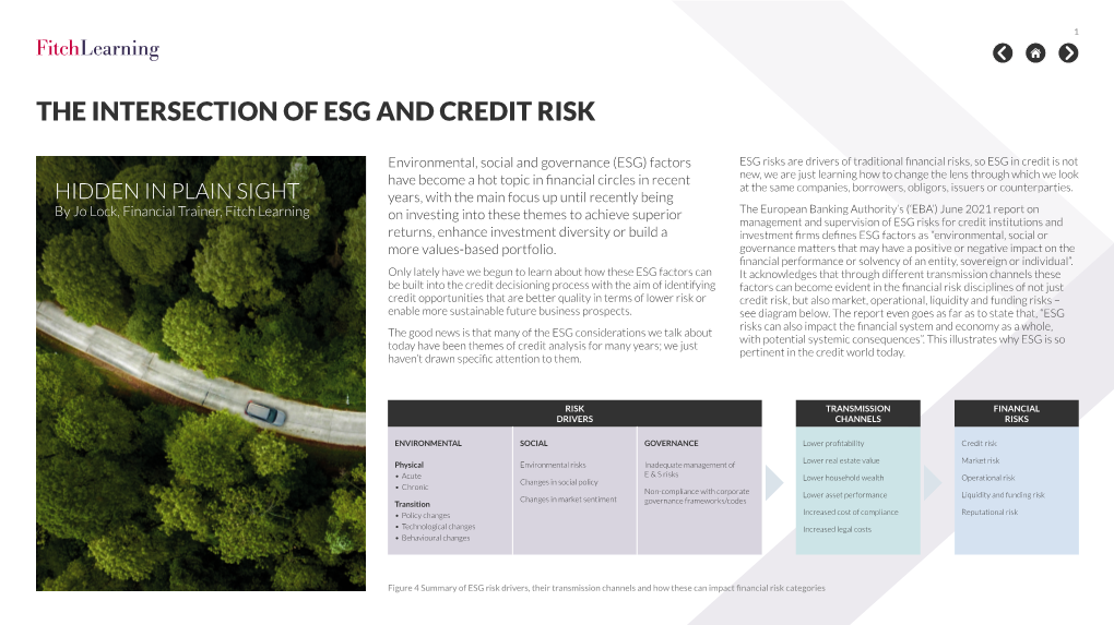 The Intersection of Esg and Credit Risk