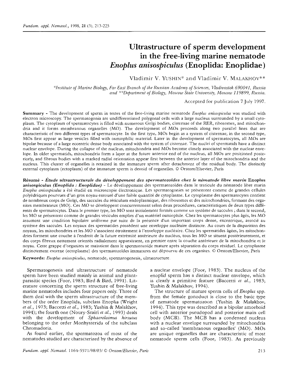 Ultrastructure of Sperm Development in the Free-Living Marine Nematode Enoplus Anisospiculus (Enoplida: Enoplidae)