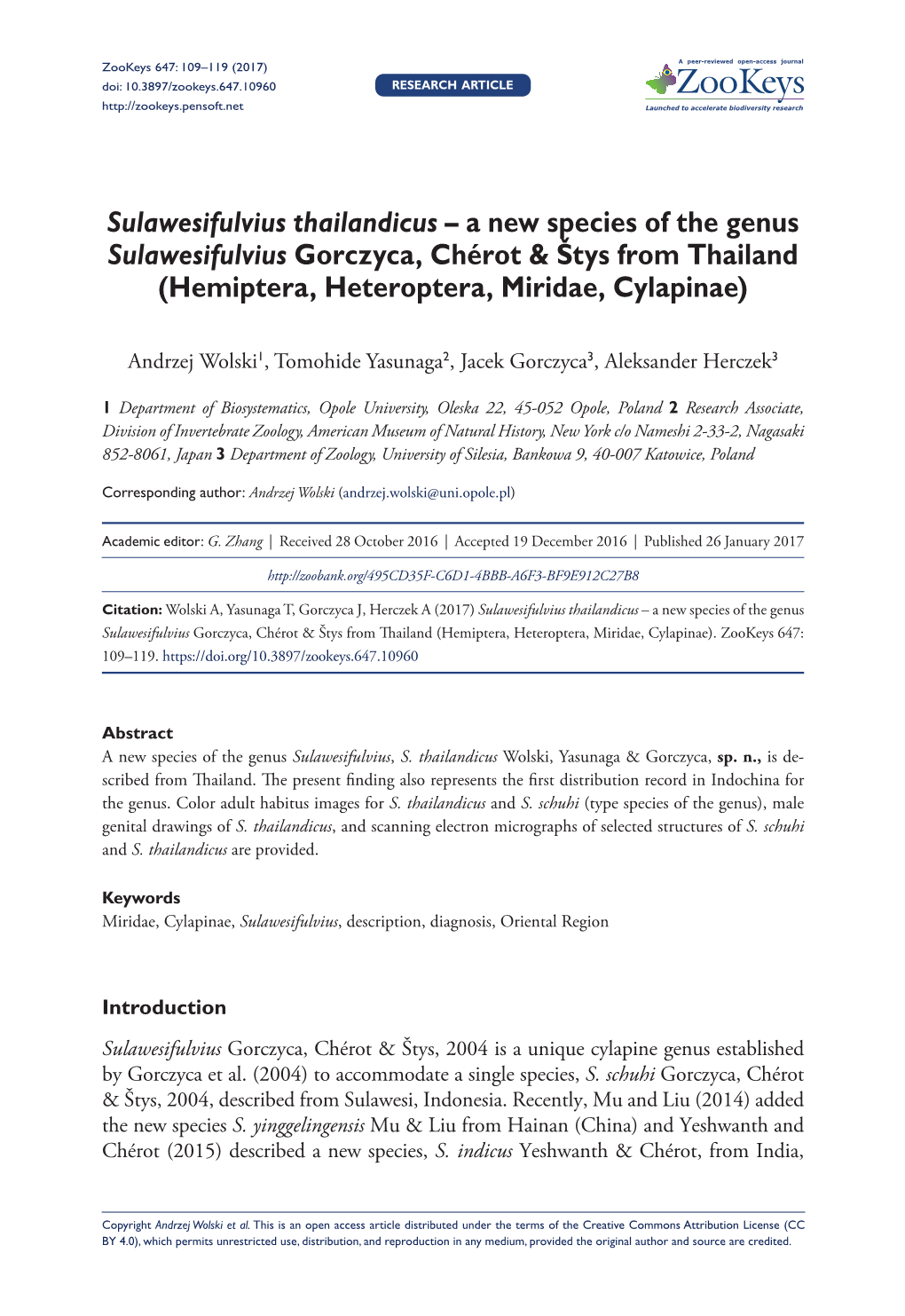 ﻿Sulawesifulvius Thailandicus – a New Species of The