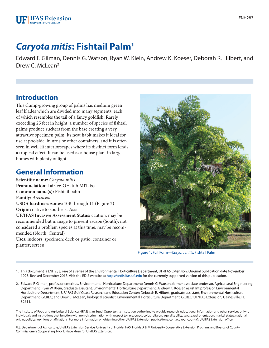 Caryota Mitis: Fishtail Palm1 Edward F