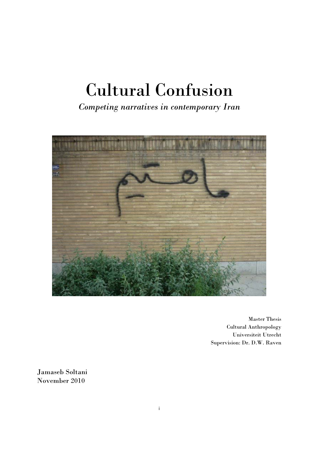 Cultural Confusion Competing Narratives in Contemporary Iran