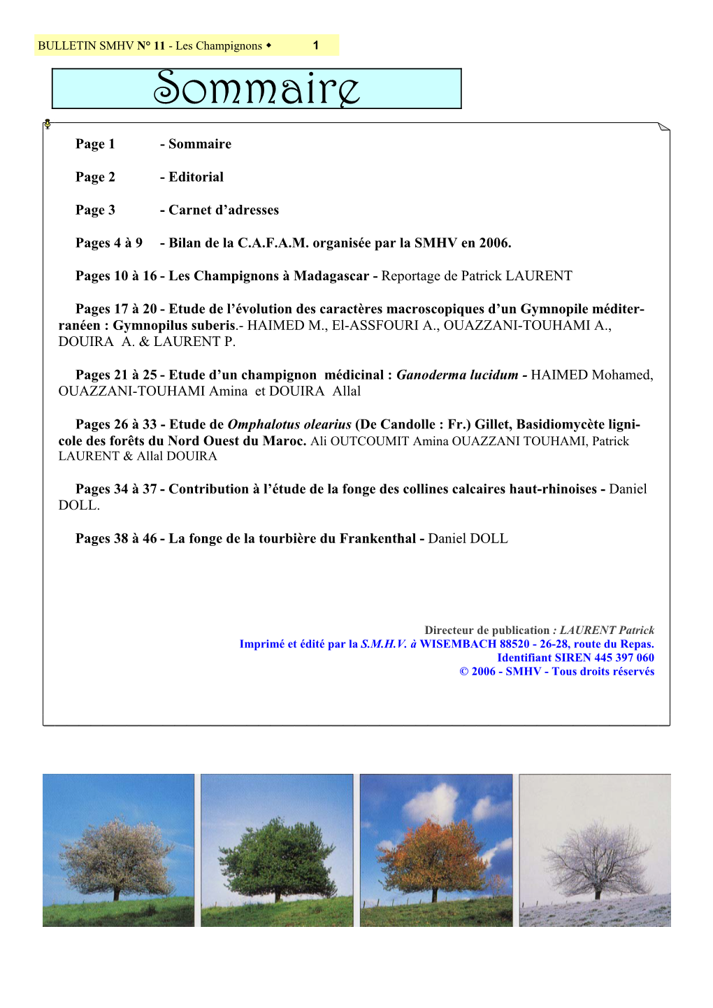 Bulletin SMHV 11