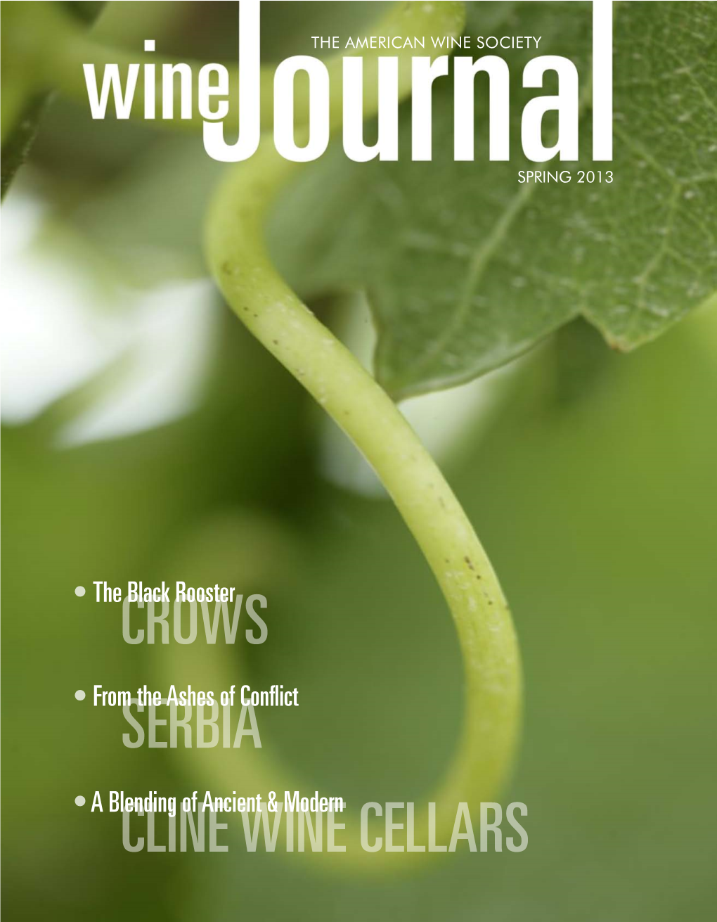 Spring 2013 Wine Journal