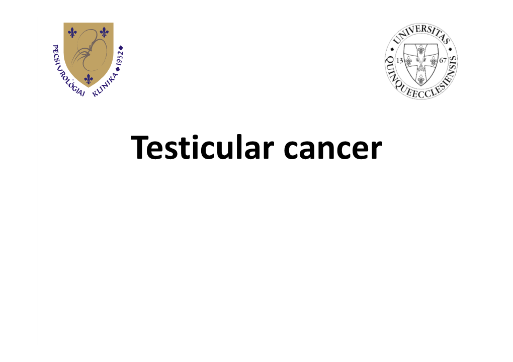 Testicular Cancer Terminology