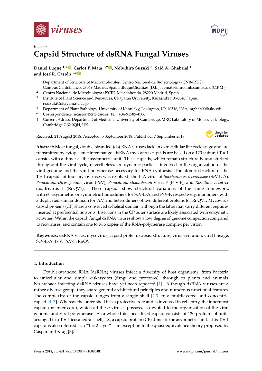 Capsid Structure of Dsrna Fungal Viruses