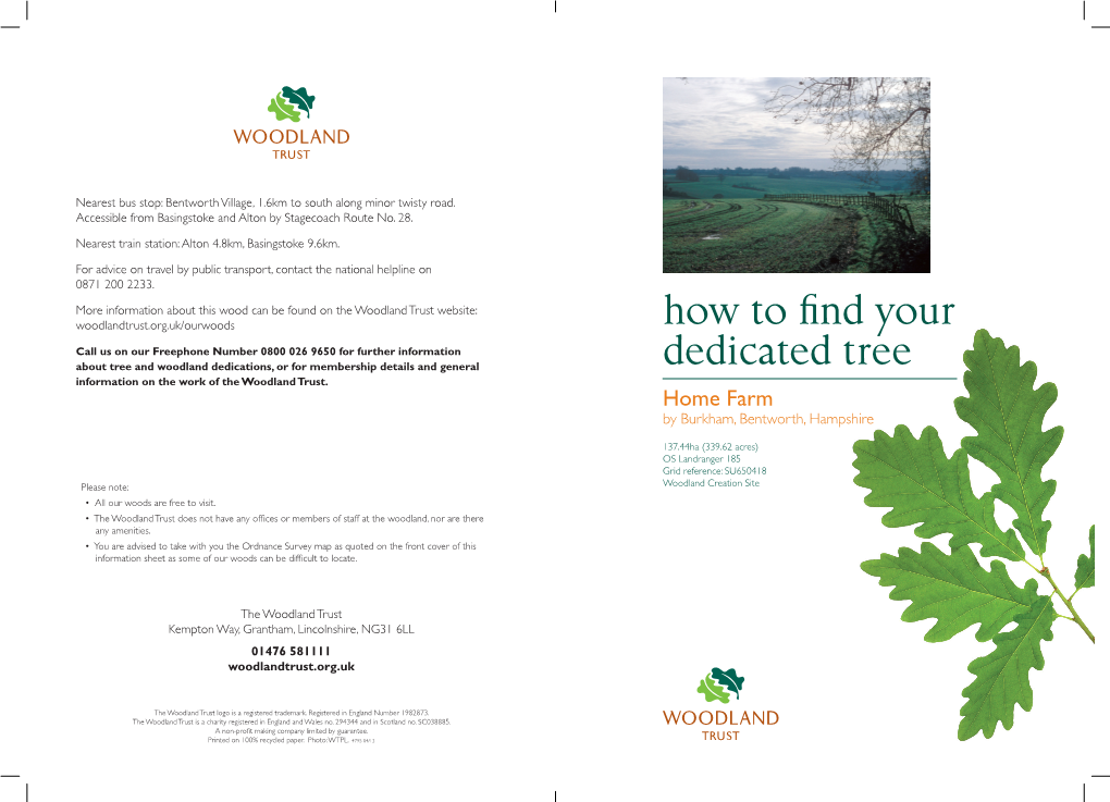 How to Find Your Dedicated Tree