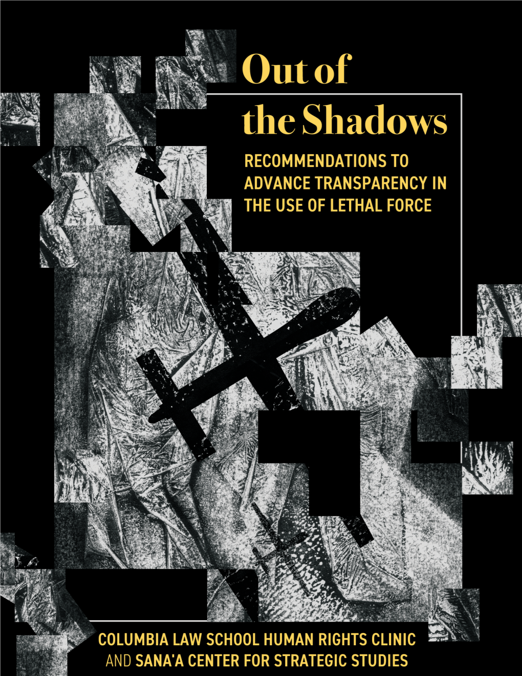 Out of the Shadows Recommendations to Advance Transparency in the Use of Lethal Force