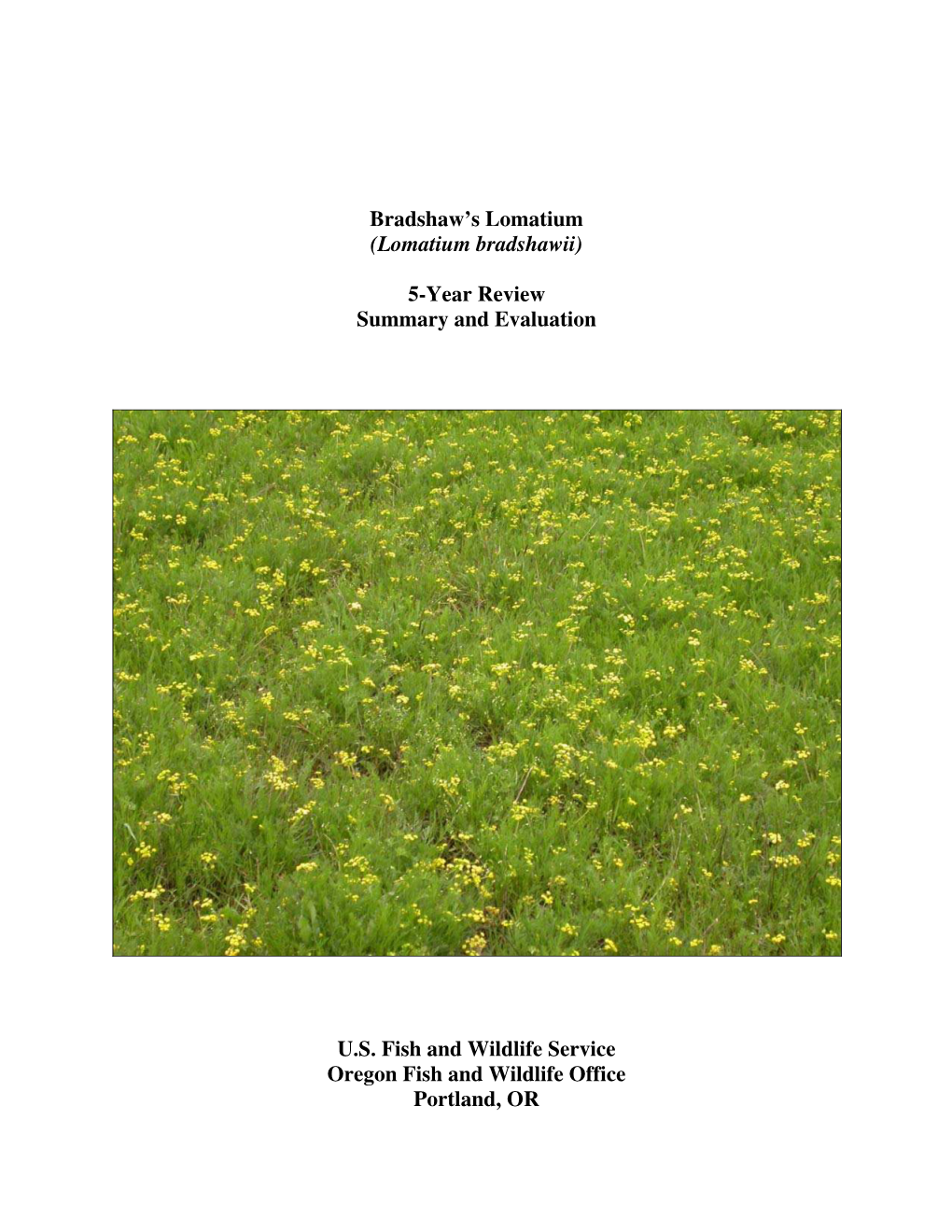Bradshaw's Lomatium (Lomatium Bradshawii) 5-Year Review