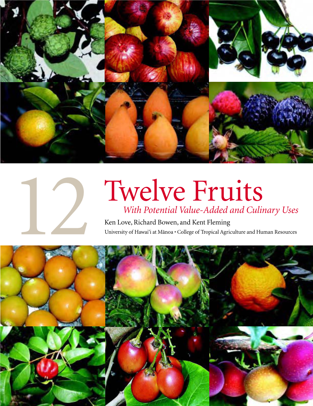 12 Twelve Fruits