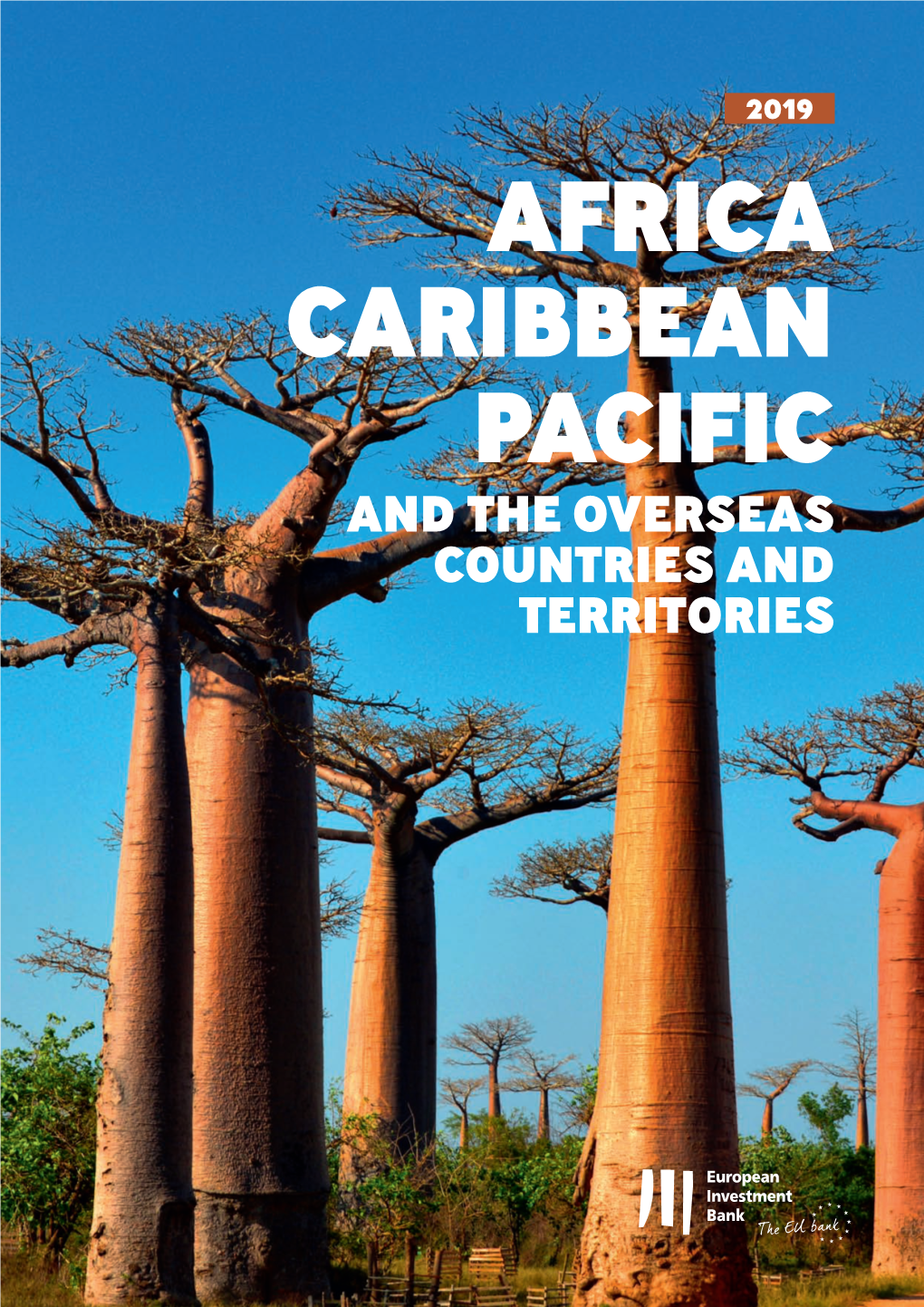 Annual Report 2019 on European Investment Bank Activity in Africa, the Caribbean, the Pacific, and the Overseas Countries and Territories