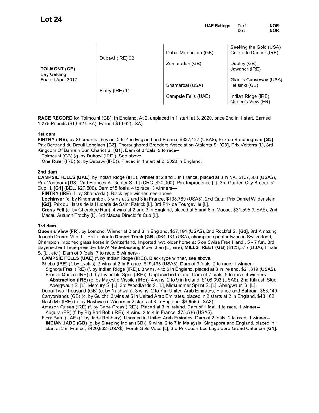 Lot 24 UAE Ratings Turf NOR Dirt NOR