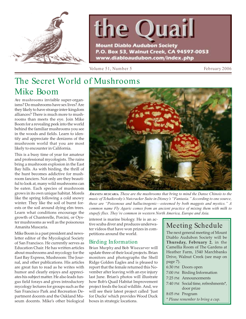 The Secret World of Mushrooms Mike Boom
