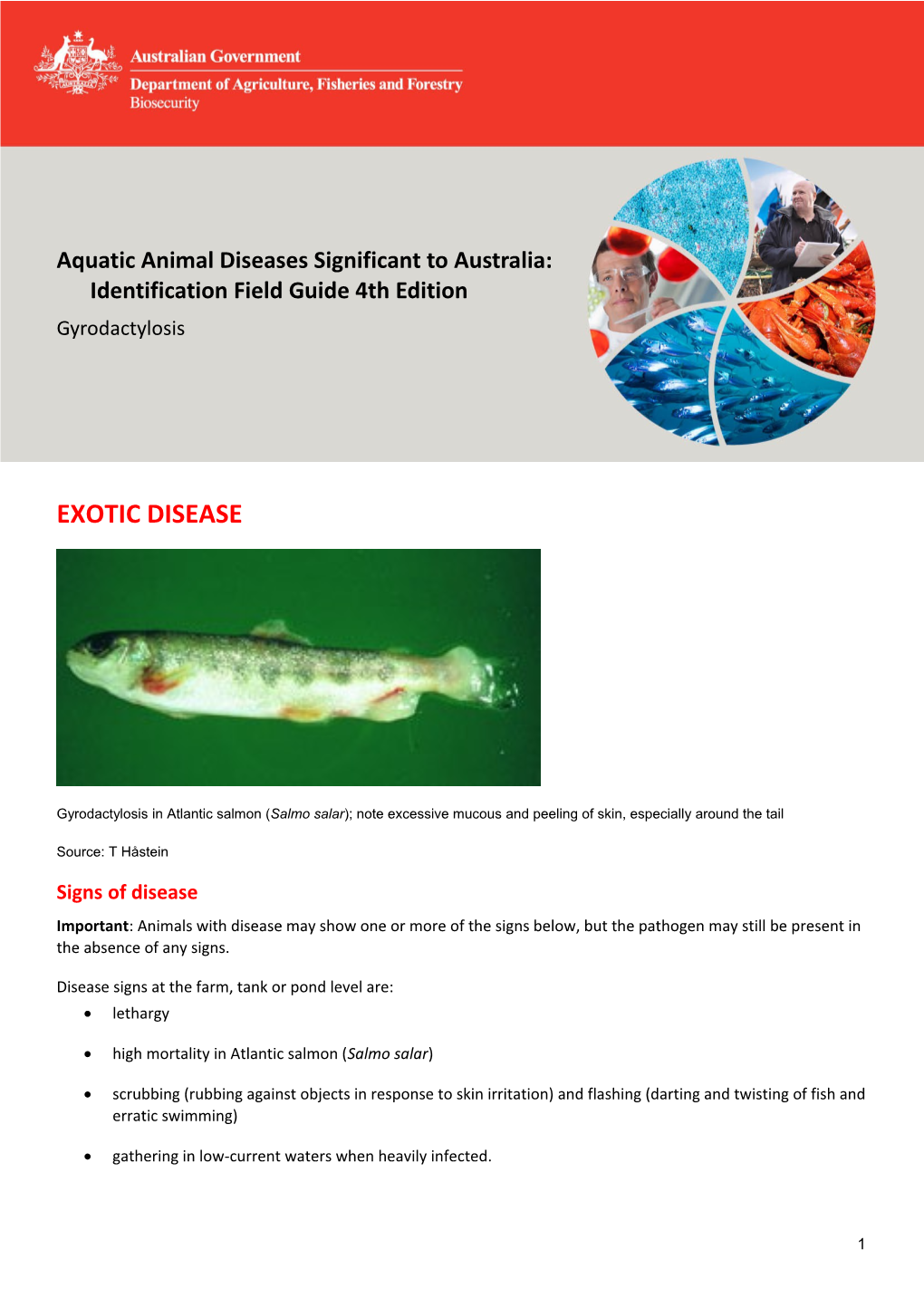 Aquatic Animal Diseases Significant to Australia:Identification Field Guide 4Th Edition s1