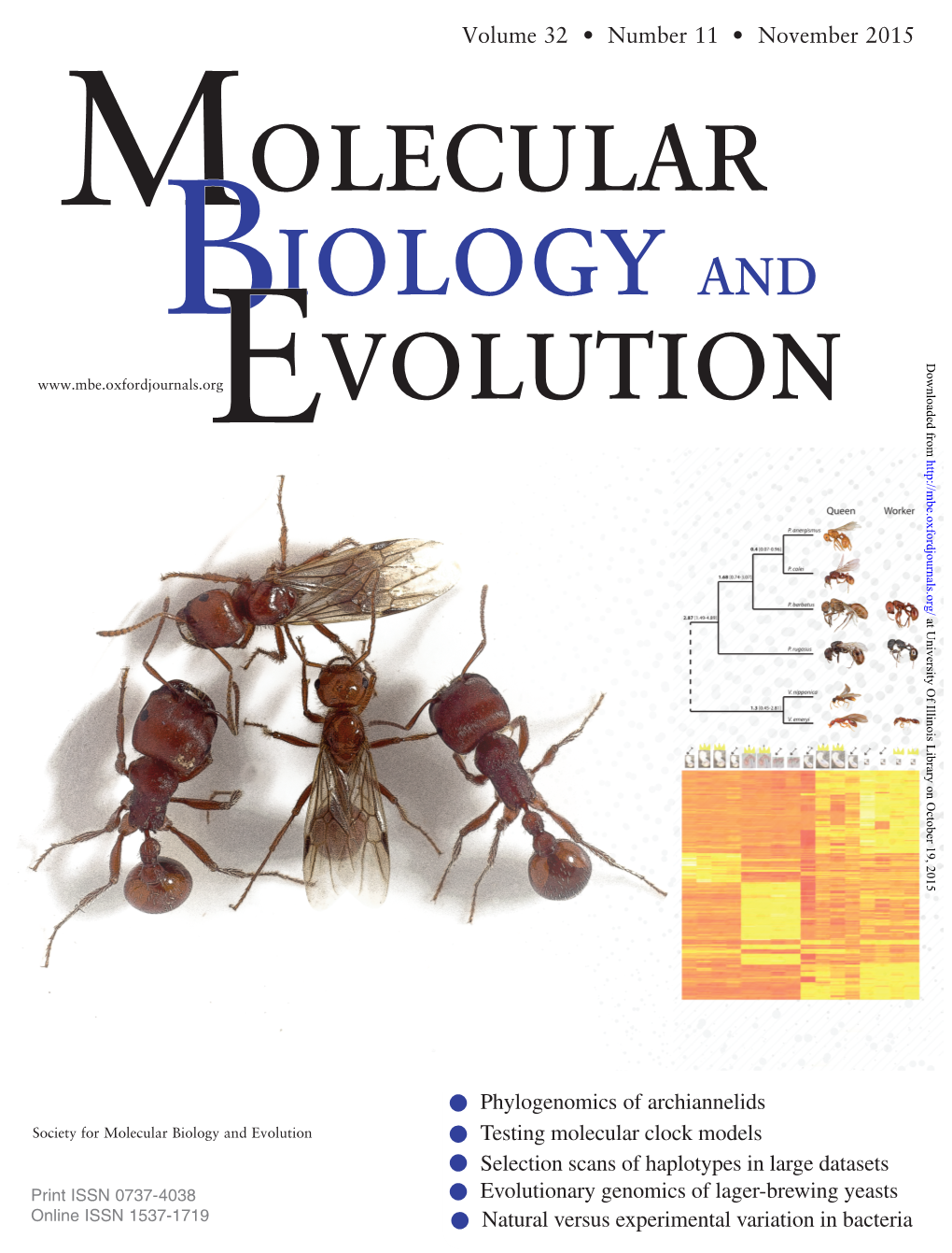 Molecular Biology and Evolution Print ISSN 0737-4038 Online ISSN 1537-1719