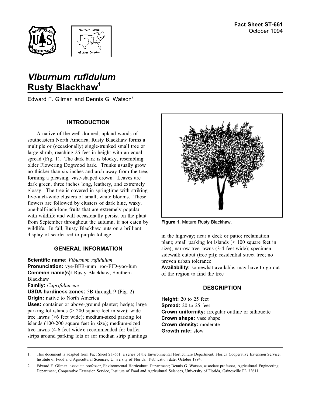 Viburnum Rufidulum Rusty Blackhaw1 Edward F