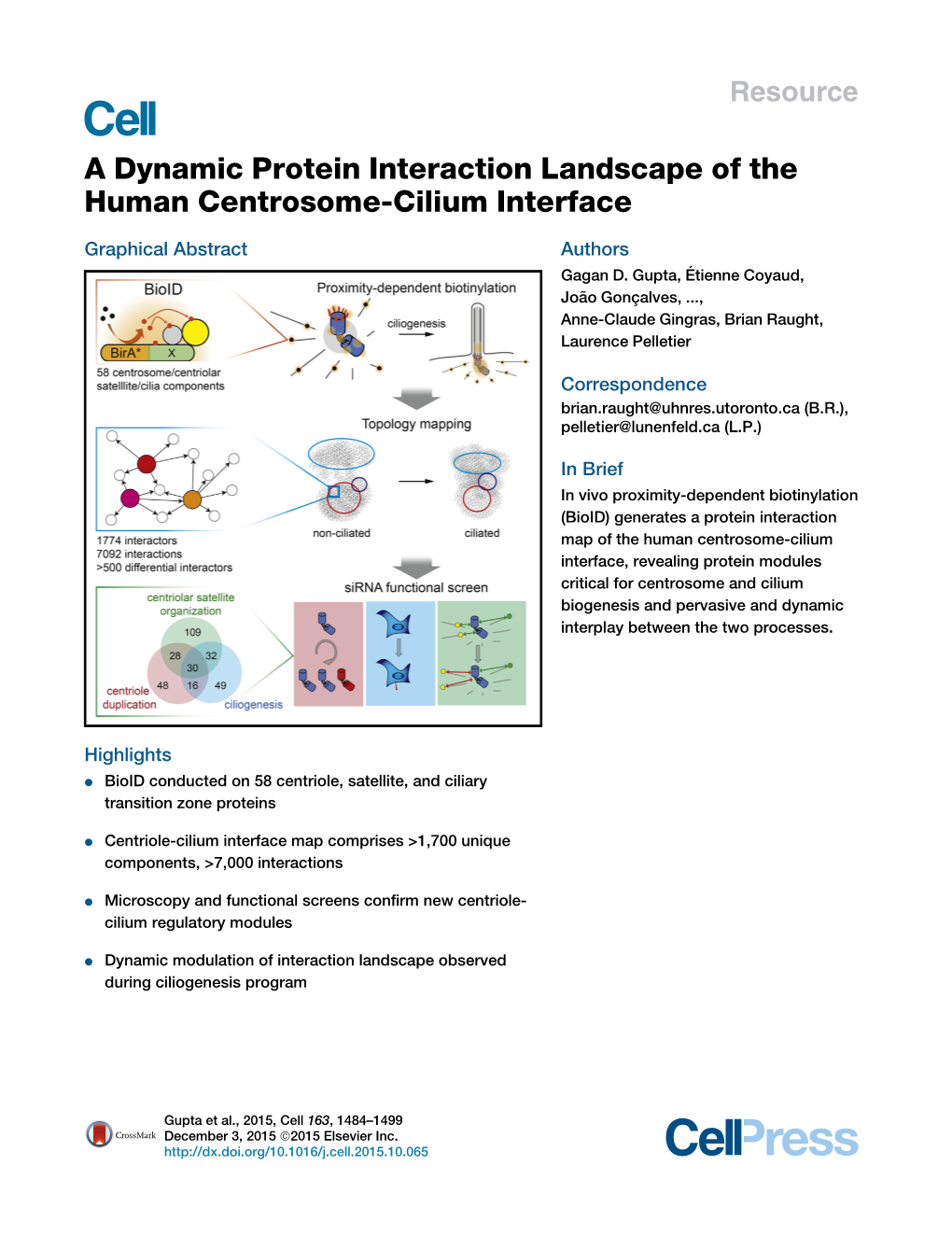 A Dynamic Protein Interaction Landscape of the Human Centrosome-Cilium Interface