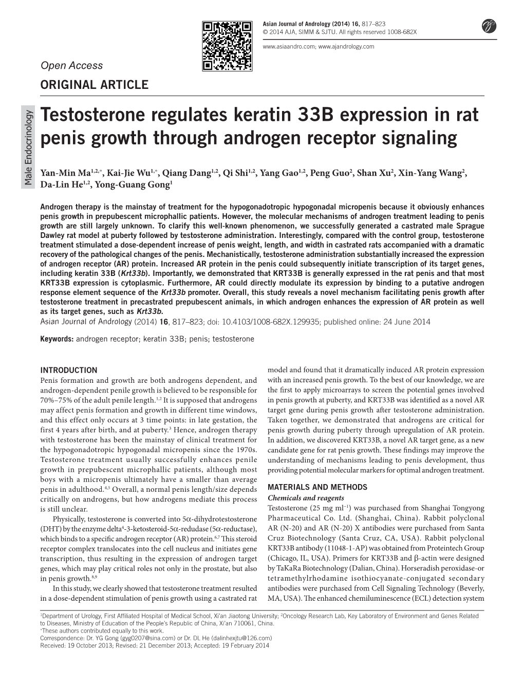Testosterone Regulates Keratin 33B Expression in Rat Penis Growth Through Androgen Receptor Signaling