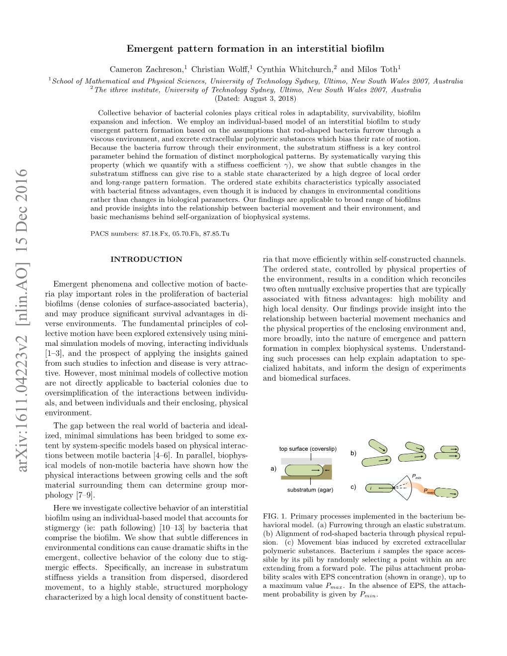 Emergent Pattern Formation in an Interstitial Biofilm