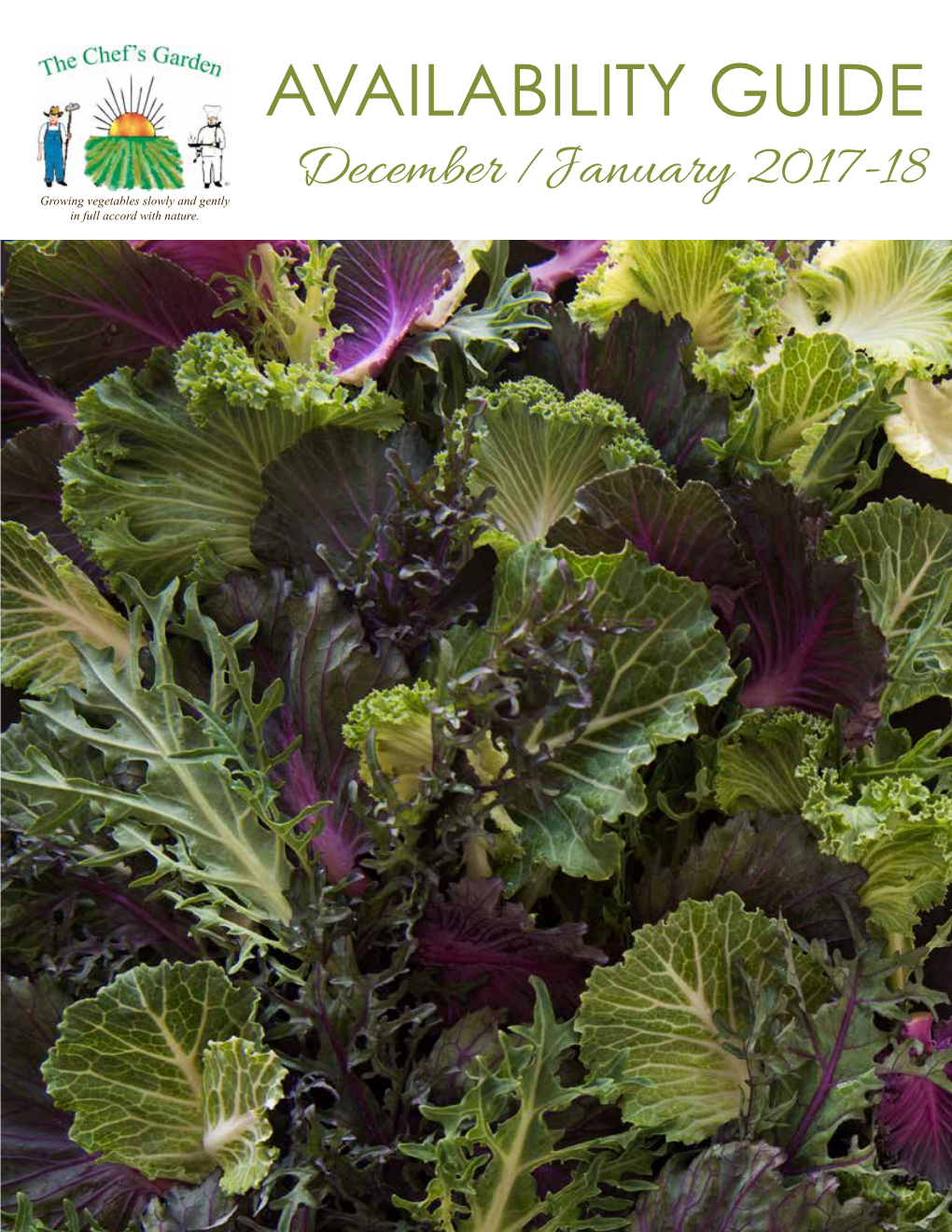 AVAILABILITY GUIDE December /January 2017-18 Growing Vegetables Slowly and Gently in Full Accord with Nature