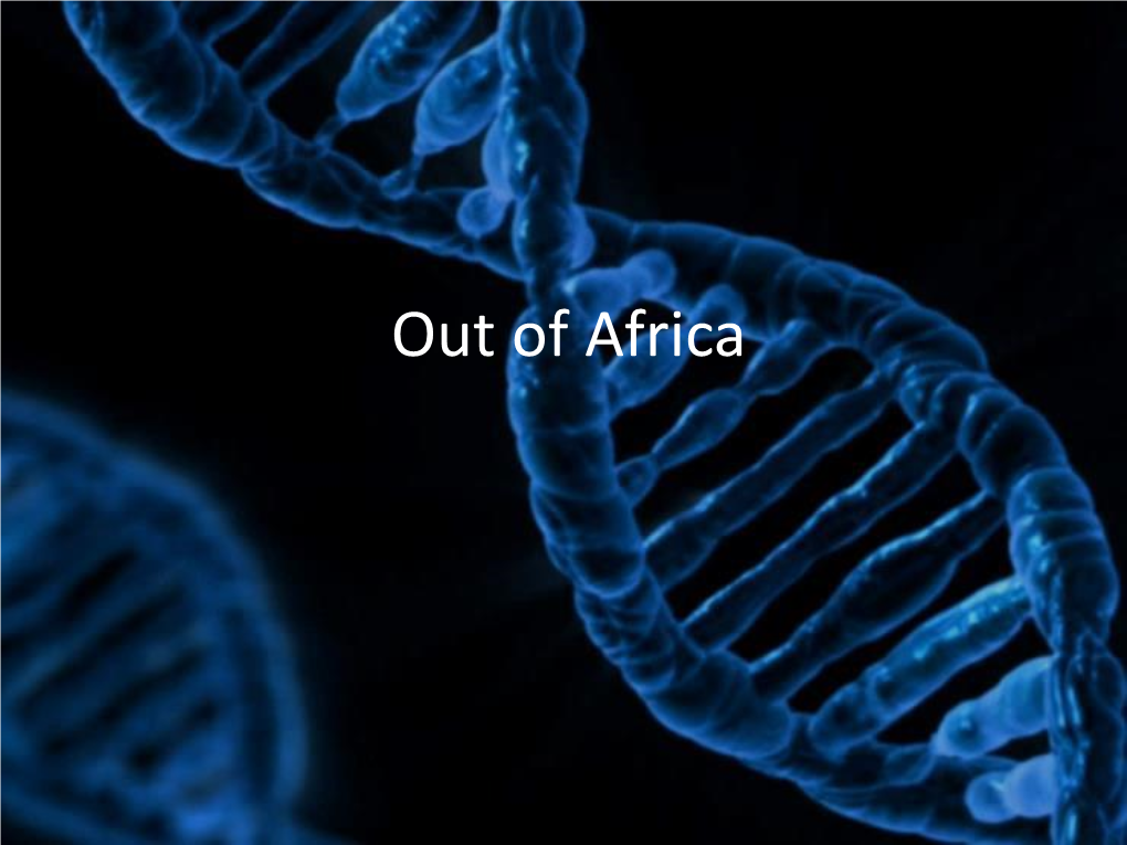 Homo Erectus - the First Expansion out of Africa - Homo Erectus Behavior - Fire? - Hunters Or Scavengers?