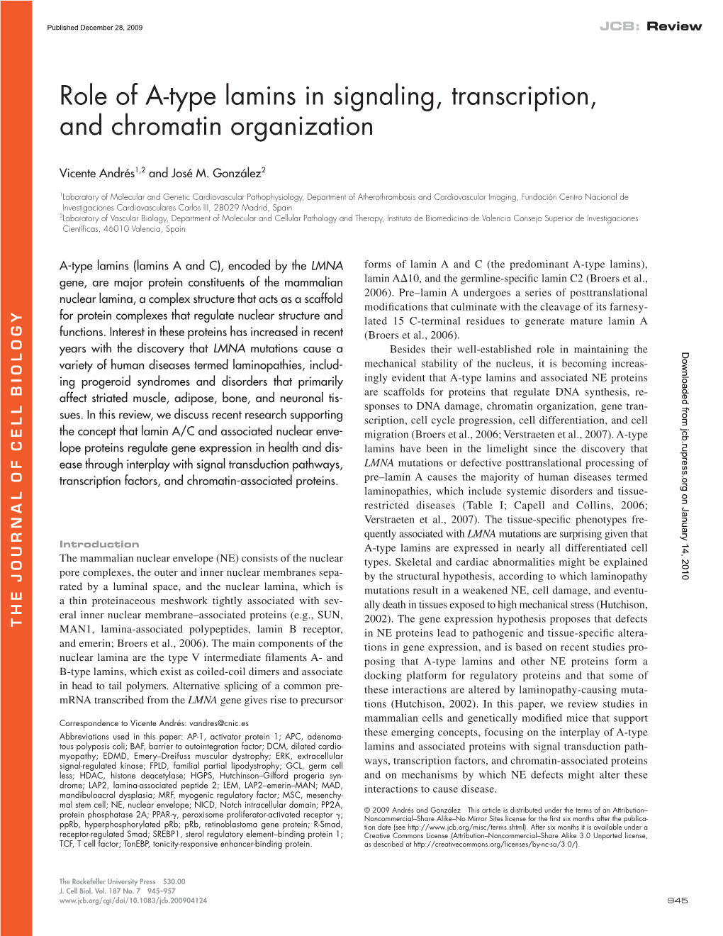 Role of A-Type Lamins in Signaling, Transcription, and Chromatin Organization