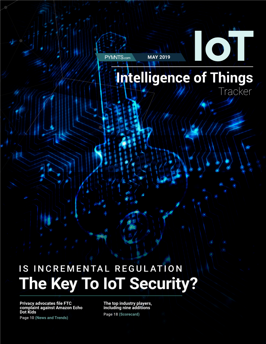 The Key to Iot Security?