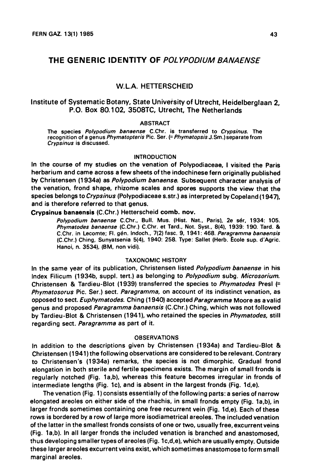 The Generic Identity of Polypodium Banaense