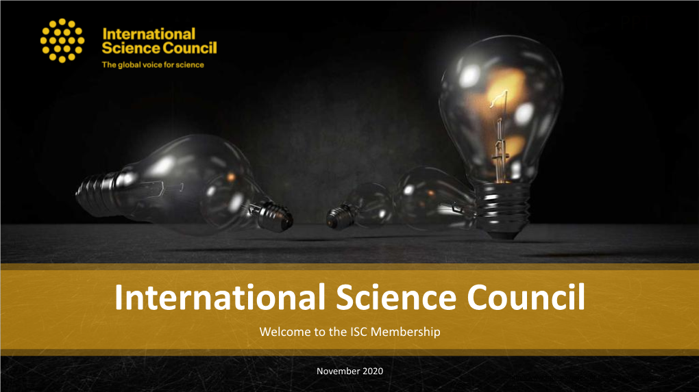 International Scientific Committees