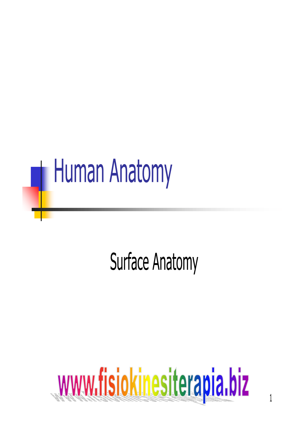 Human Anatomy