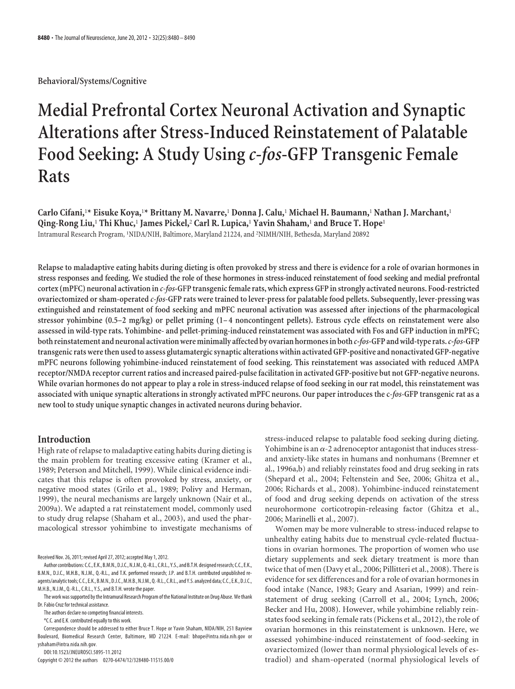 Medial Prefrontal Cortex Neuronal Activation and Synaptic Alterations