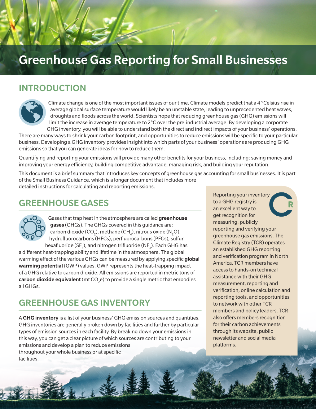 Greenhouse Gas Reporting for Small Businesses