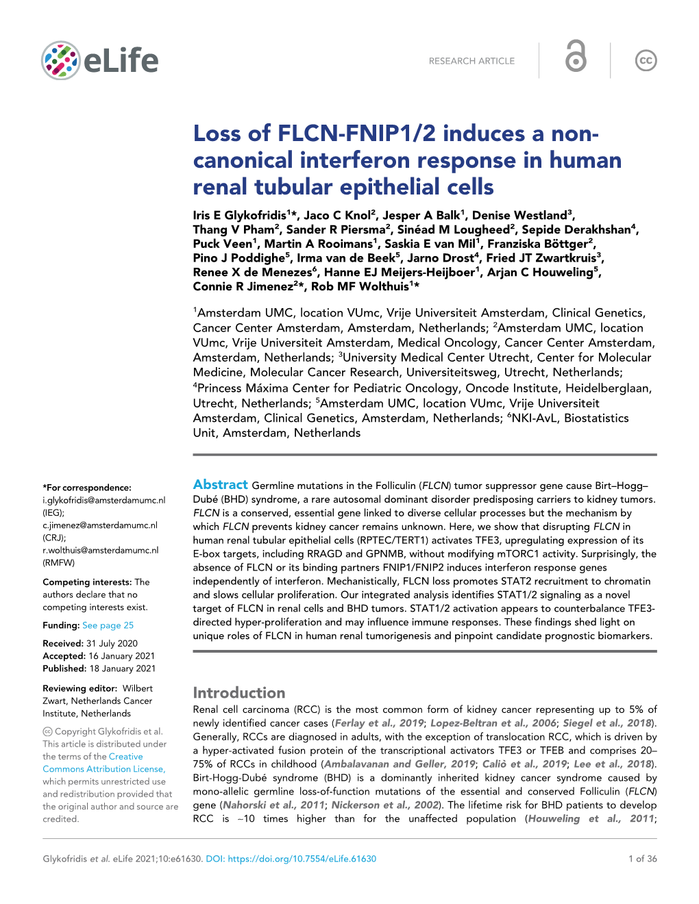 Loss of FLCN-FNIP1/2 Induces a Non- Canonical Interferon Response In