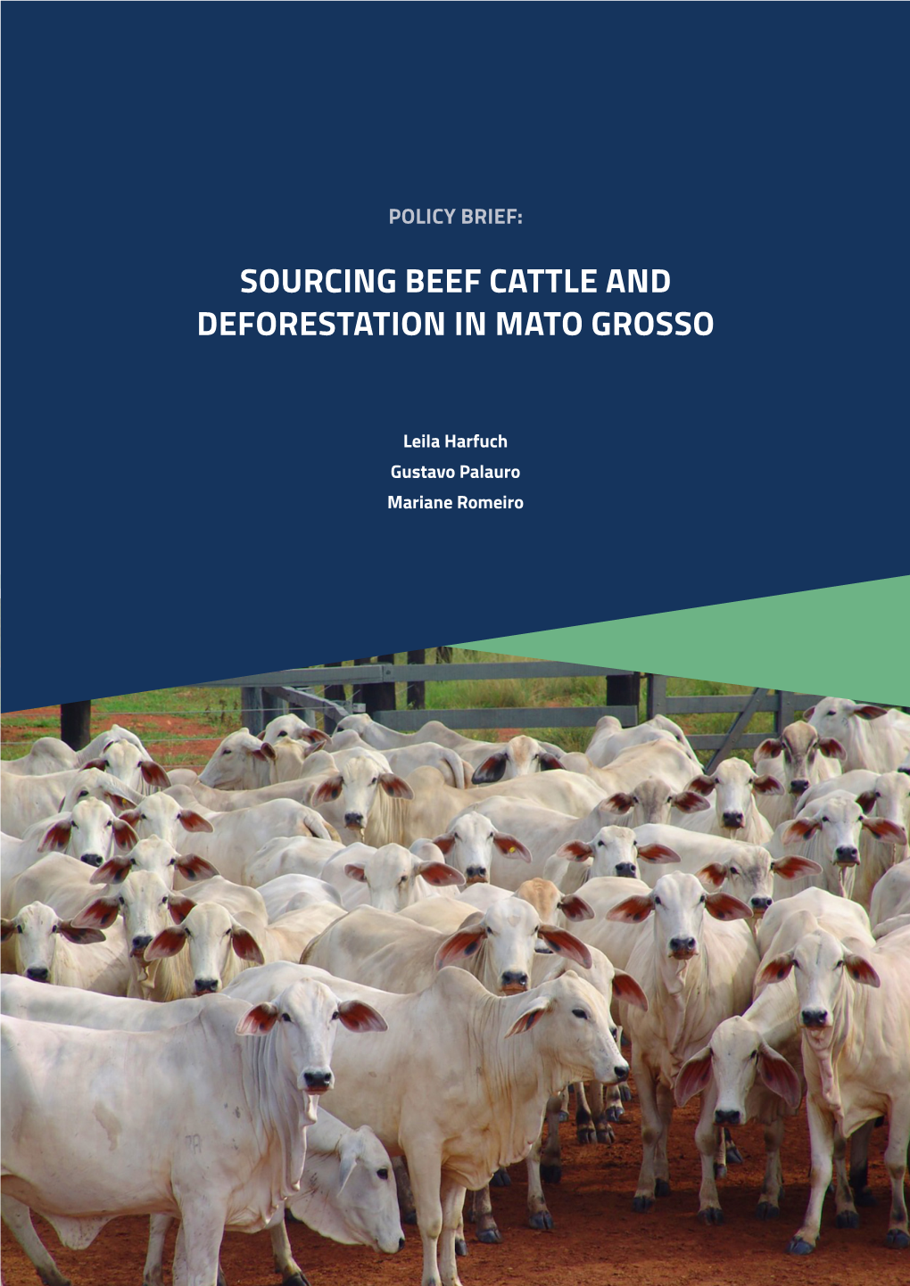 Policy Brief Sourcing Beef Cattle and Deforestation in Mato Grosso
