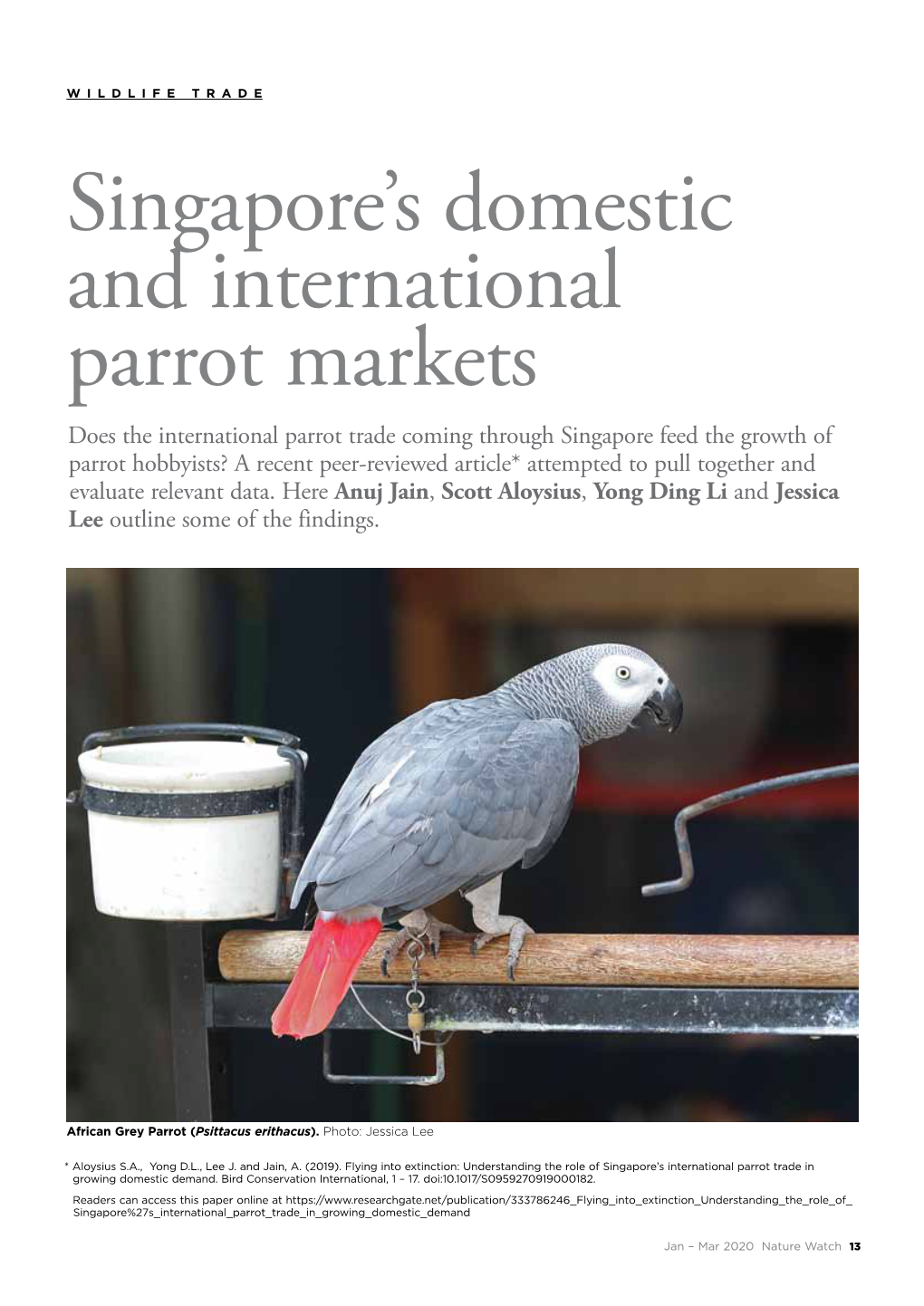 Singapore's Domestic and International Parrot Markets