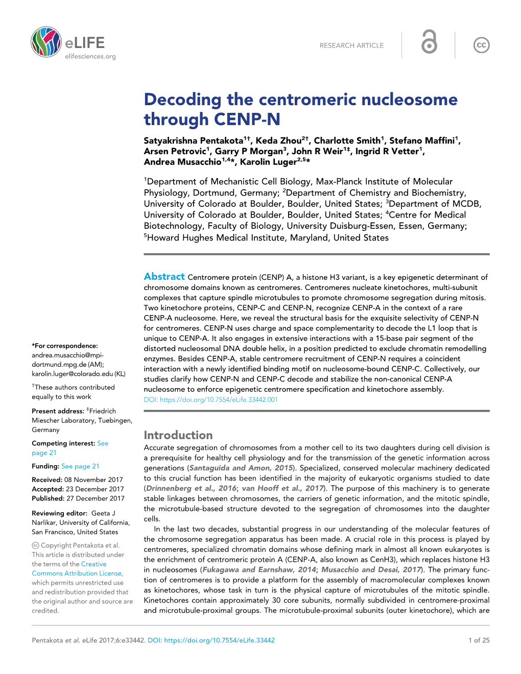 Decoding the Centromeric Nucleosome Through CENP-N