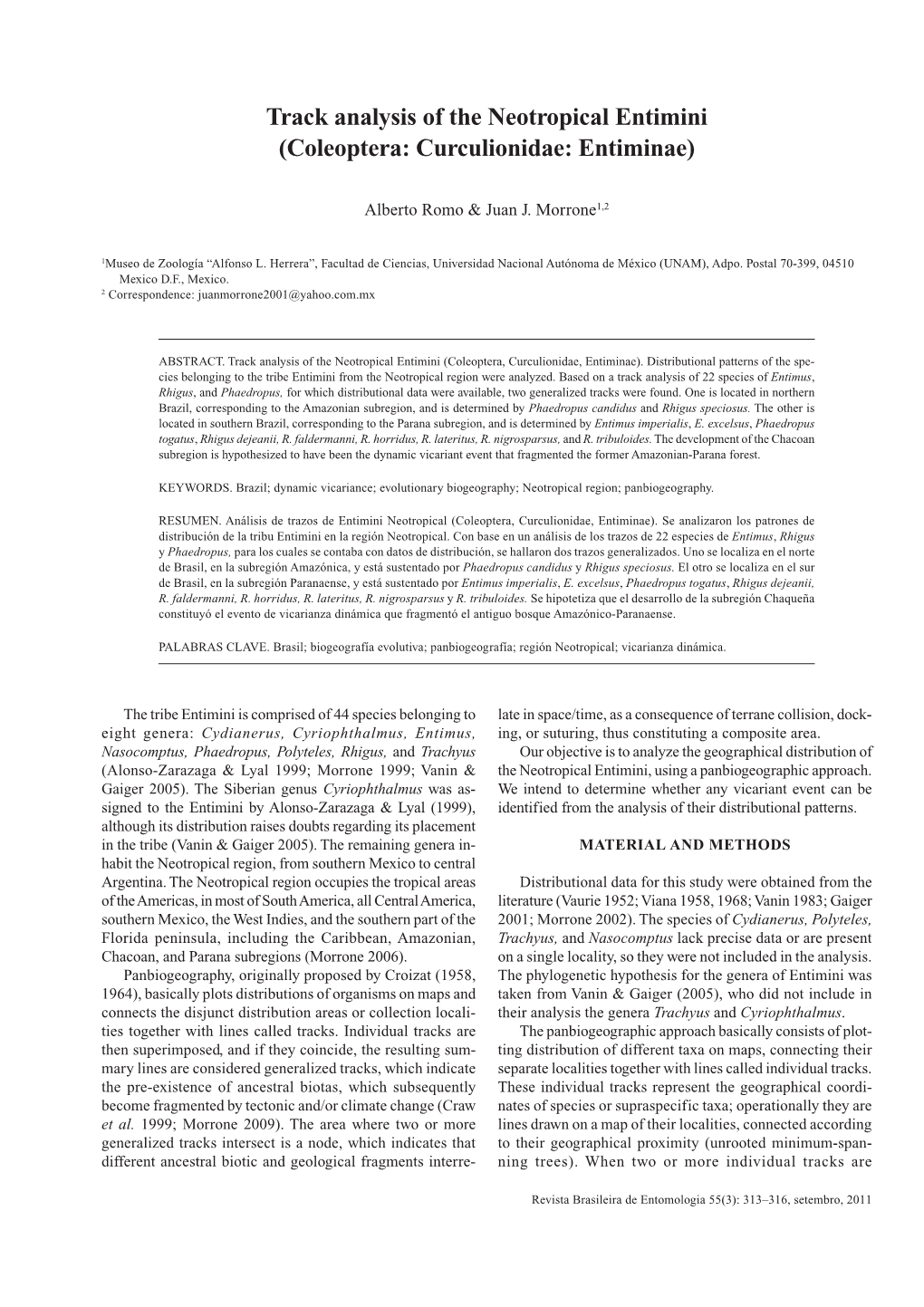 Track Analysis of the Neotropical Entimini (Coleoptera: Curculionidae: Entiminae)