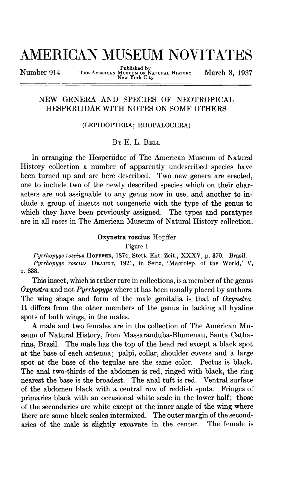 AMERICAN MUSEUM NOVITATES Published by Number 914 'Rhe AMERICAN MUSEUM of NATURAL History March 8, 1937 New York City