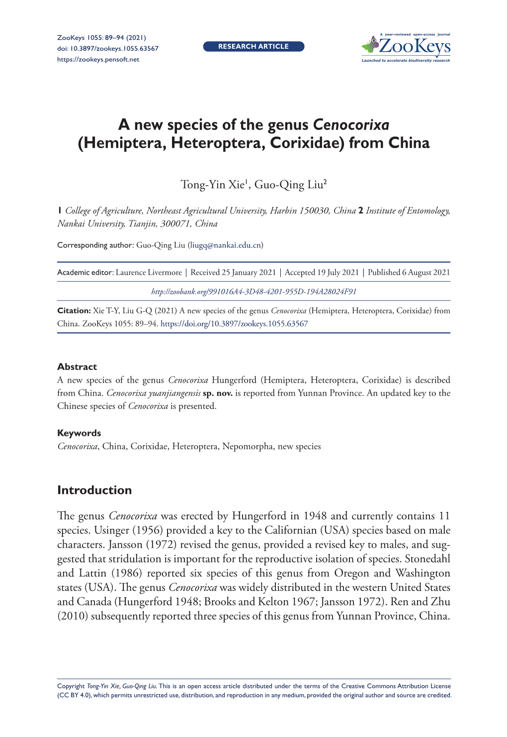 A New Species of the Genus Cenocorixa (Hemiptera, Heteroptera, Corixidae) from China