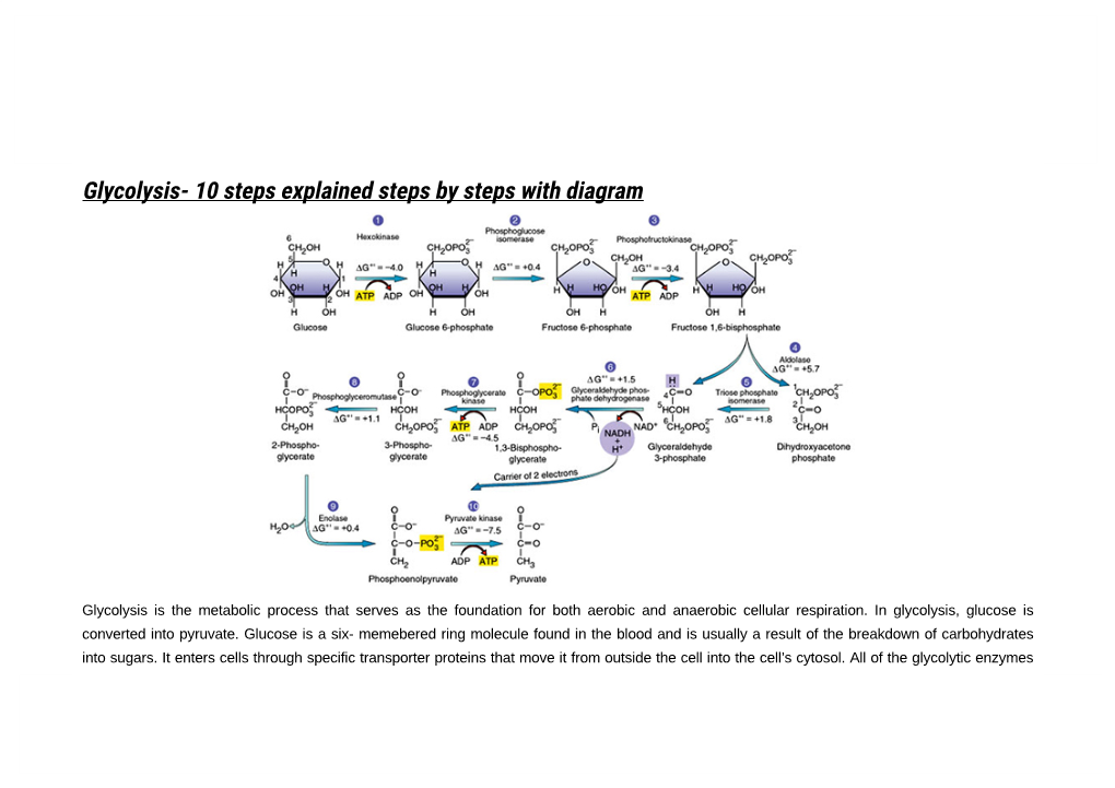 Glycolysis- 10 Steps Explained Steps by Steps with Diagram