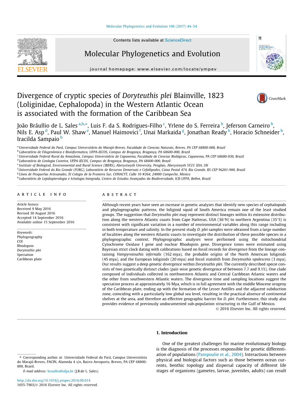 Divergence of Cryptic Species of Doryteuthis Plei